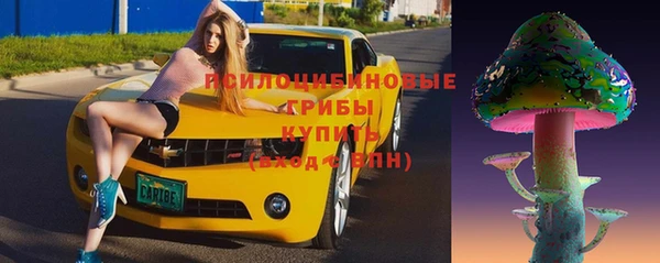 Альфа ПВП Алексин
