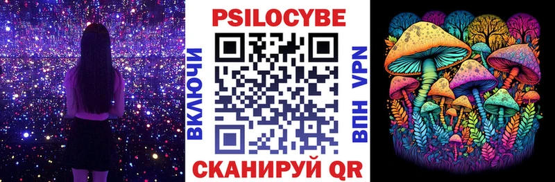 Галлюциногенные грибы Psilocybine cubensis  где купить наркотик  Жигулёвск 
